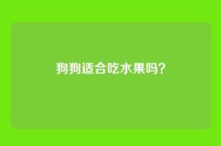 狗狗适合吃水果吗？