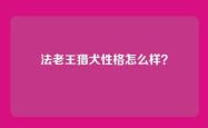 法老王猎犬性格怎么样？