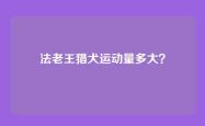 法老王猎犬运动量多大？