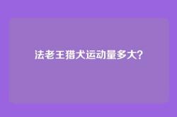 法老王猎犬运动量多大？