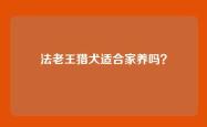 法老王猎犬适合家养吗？