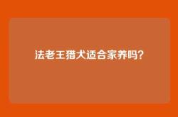 法老王猎犬适合家养吗？