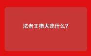 法老王猎犬吃什么？