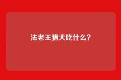 法老王猎犬吃什么？
