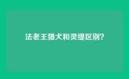 法老王猎犬和灵缇区别？