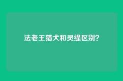 法老王猎犬和灵缇区别？