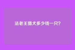 法老王猎犬多少钱一只？