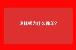 贝林顿为什么像羊？