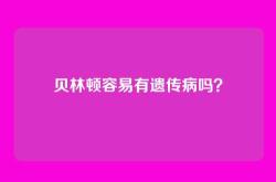 贝林顿容易有遗传病吗？