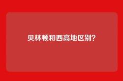 贝林顿和西高地区别？