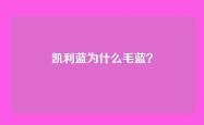 凯利蓝为什么毛蓝？