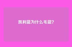 凯利蓝为什么毛蓝？