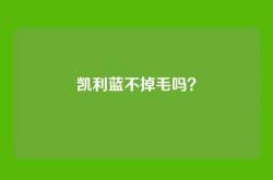 凯利蓝不掉毛吗？