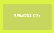 凯利蓝性格怎么样？
