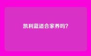 凯利蓝适合家养吗？