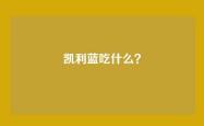 凯利蓝吃什么？