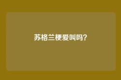 苏格兰梗爱叫吗？