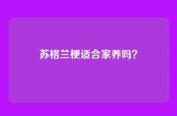 苏格兰梗适合家养吗？