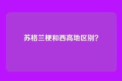 苏格兰梗和西高地区别？