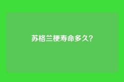 苏格兰梗寿命多久？