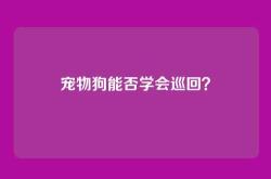 宠物狗能否学会巡回？