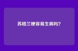 苏格兰梗容易生病吗？