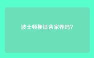波士顿梗适合家养吗？