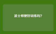 波士顿梗好训练吗？