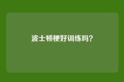 波士顿梗好训练吗？