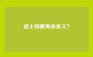 波士顿梗寿命多久？