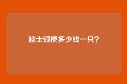 波士顿梗多少钱一只？