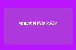 银狐犬性格怎么样？
