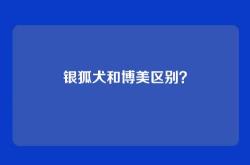 银狐犬和博美区别？