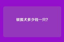 银狐犬多少钱一只？