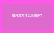 纽芬兰为什么会游泳？