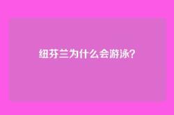纽芬兰为什么会游泳？
