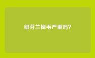 纽芬兰掉毛严重吗？