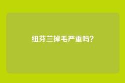 纽芬兰掉毛严重吗？