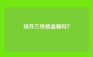 纽芬兰性格温顺吗？
