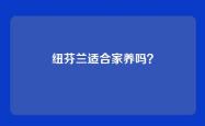 纽芬兰适合家养吗？