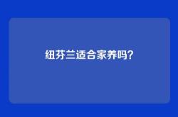 纽芬兰适合家养吗？