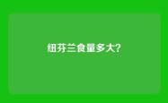 纽芬兰食量多大？