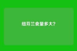 纽芬兰食量多大？