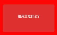 纽芬兰吃什么？