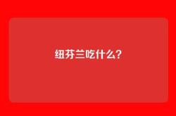 纽芬兰吃什么？
