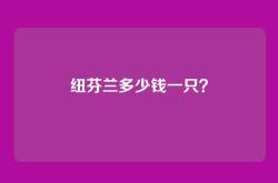 纽芬兰多少钱一只？
