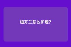 纽芬兰怎么护理？
