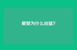 藏獒为什么凶猛？