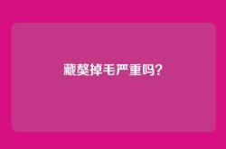 藏獒掉毛严重吗？