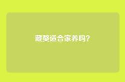 藏獒适合家养吗？